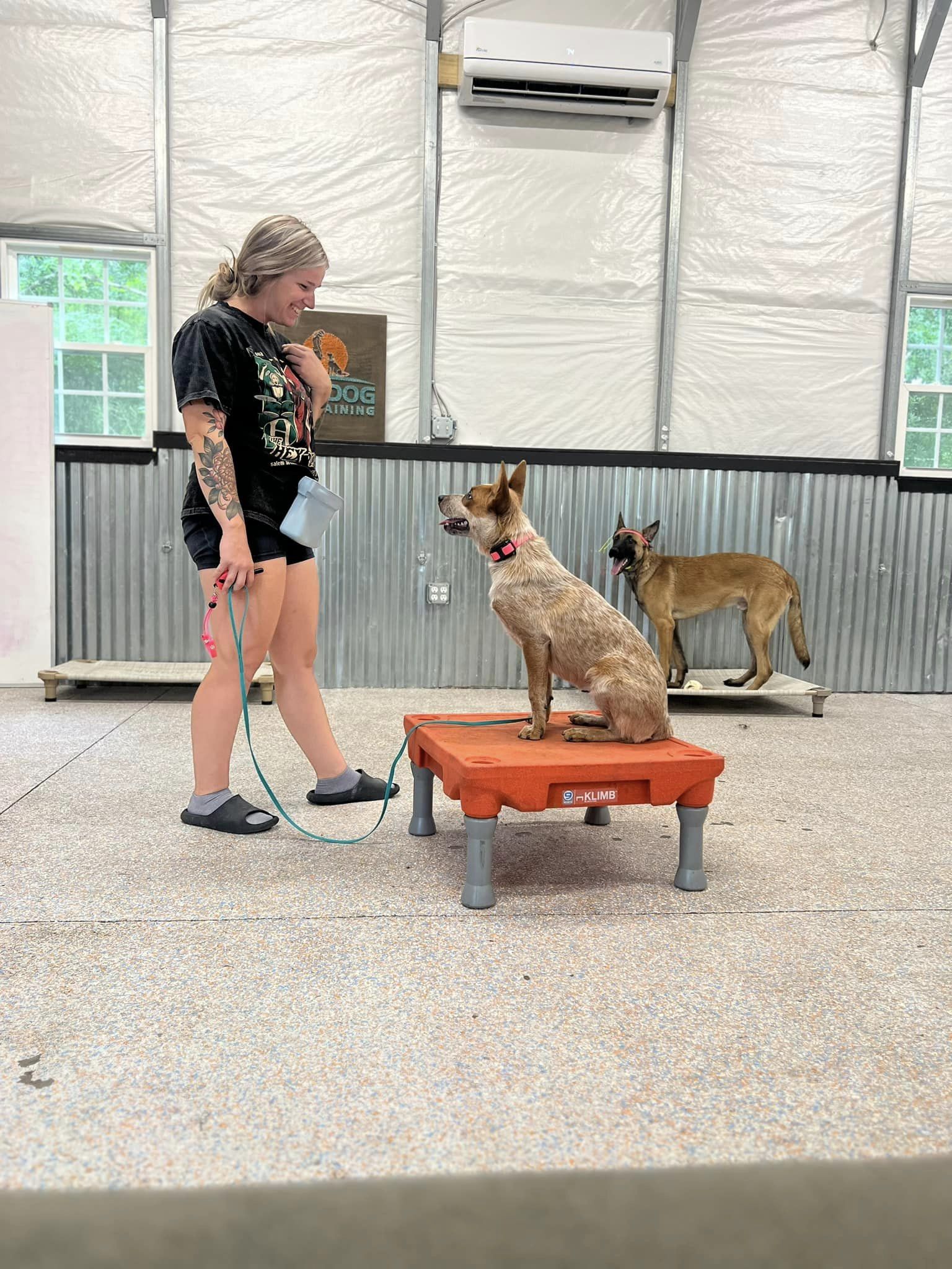 Personalized Dog Private Lessons in Wilmington, NC - AvidDog Dog Training