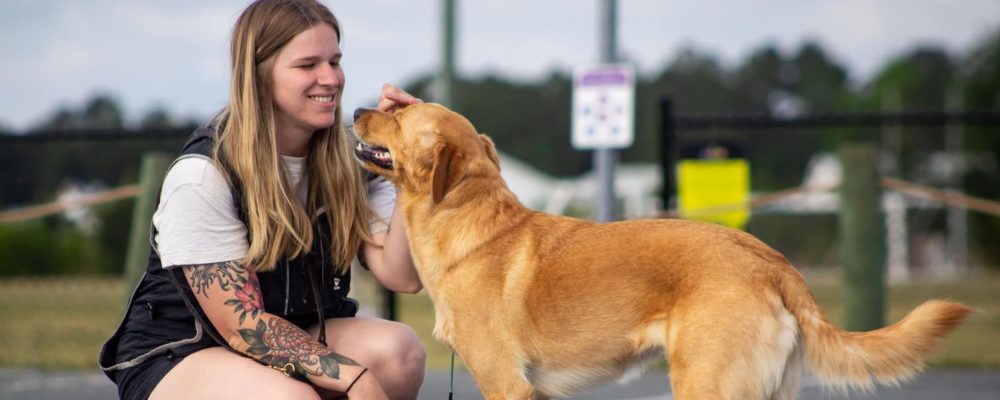 Professional Dog Training in Wilmington NC