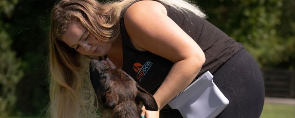 A professional dog trainer working with a dog focusing on behavior improvement and safety.