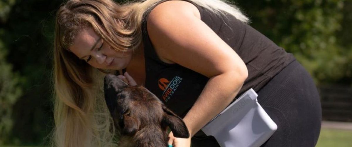 A professional dog trainer working with a dog focusing on behavior improvement and safety.